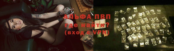 прущие грибы Магадан