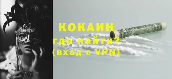 прущие грибы Магадан