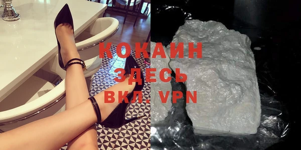 прущие грибы Магадан