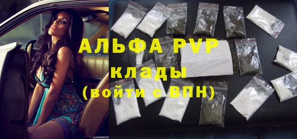 прущие грибы Магадан