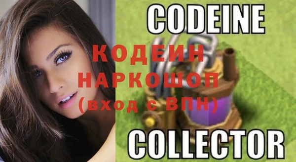 прущие грибы Магадан
